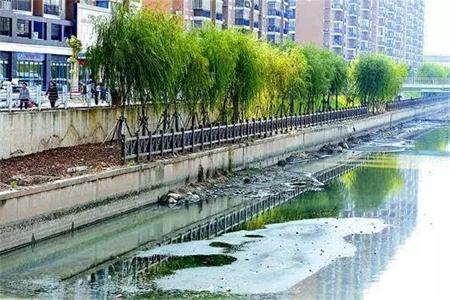 2020年底前廣東全省將整治43個(gè)黑臭水體
